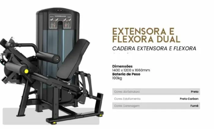 Cadeira Flexora extensora dual