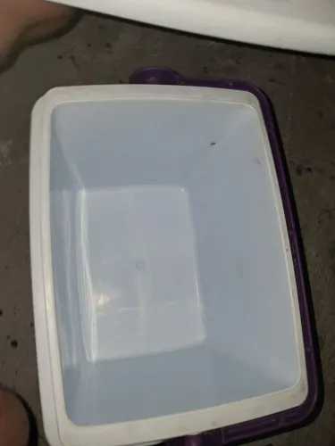 Caixa térmica (cooler) 12 litros