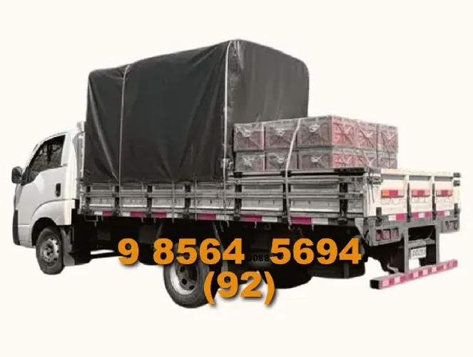 Frete - Qualidade e Agilidade com a Fenix hoje sexta-feira