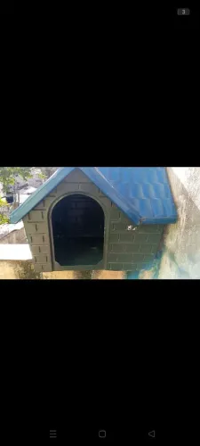 Casinha para cachorro 