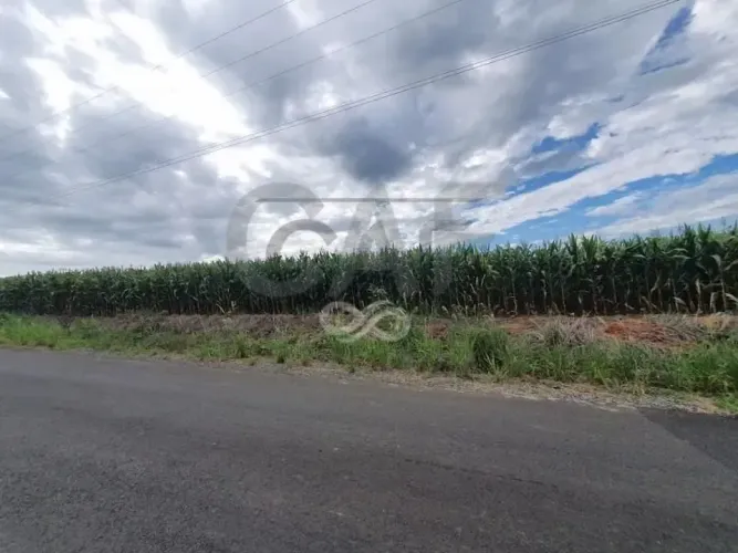 Sítio com 1 dormitório à venda, 37000 m² por R$ 2.590.000,00 - Pinhalzinho - Jaguariúna/SP