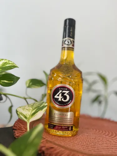 Bebidas 