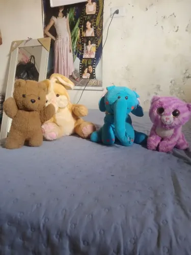 Pelúcias usados em perfeito estado