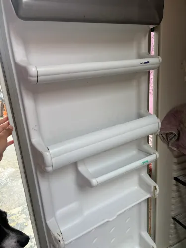 geladeira simples 170$