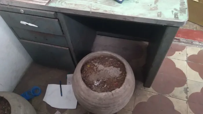 Vazo para plantas em geral