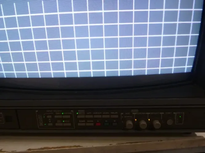 MONITOR IKEGAMI TM-20-80RH