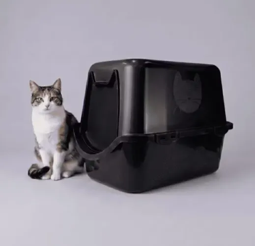 Caixa de areia para seu  gato