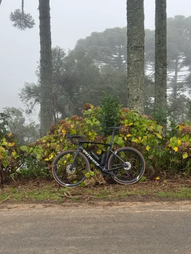 SPECIALIZED TARMAC SL7 56 (ESTADO ZERO KM)