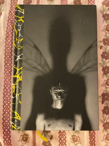 A Fábrica de Vespas - DarkSide Books | Capa dura | Bem conservado