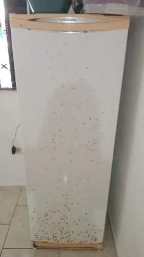 Vendo ou troco geladeira