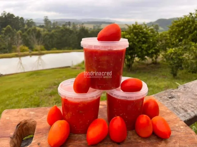 Sítio à venda, RURAL, Tomazina, PR