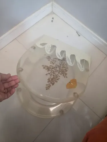 Tampa de vaso acrilico.