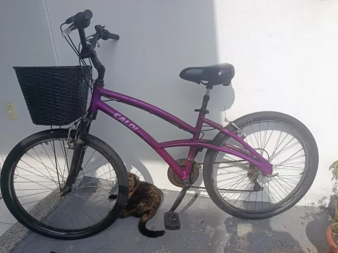 Bicicleta Caloi 100 aro 26 roxa