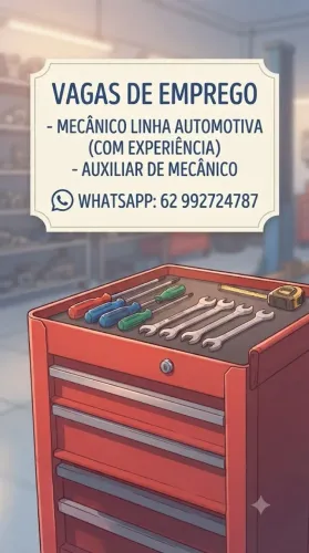 Mecânico automotivo e auxiliar
