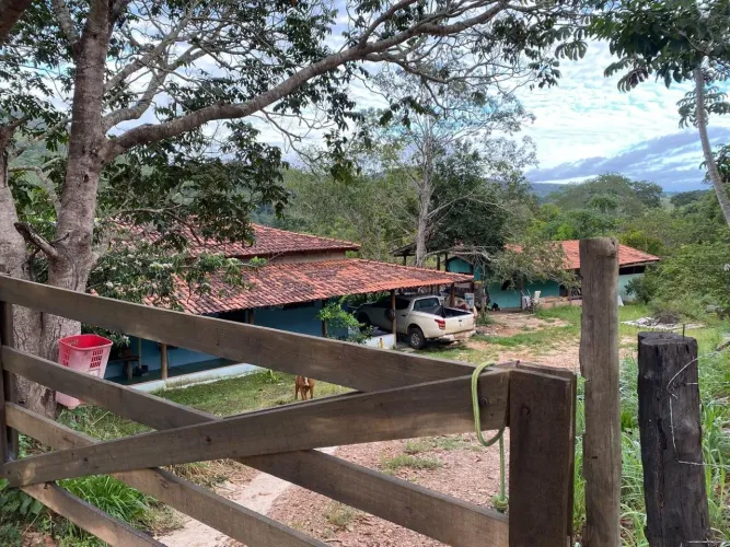 Arrendo fazenda pecuária contrato anual 32 alqueires ou 158 hectares