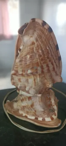 Abajur artesanal concha