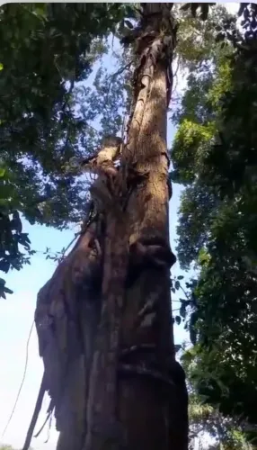 Terreno top e barato 38.000 mil ( anori )