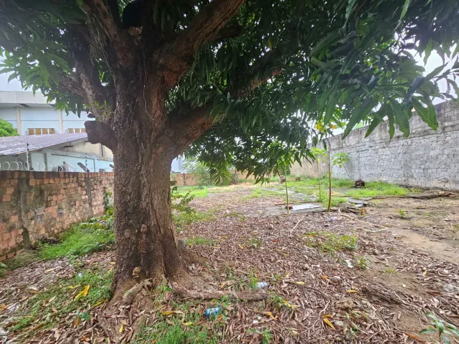 ALUGA-SE TERRENO COMERCIAL MURADO DE 375m² NO DOM PEDRO