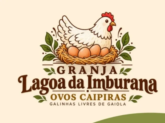 Ovos de galinha capoeira 