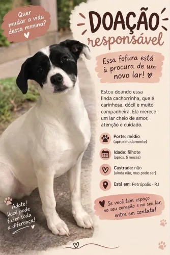 Adoção responsável 