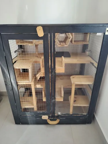 Gaiola para animais