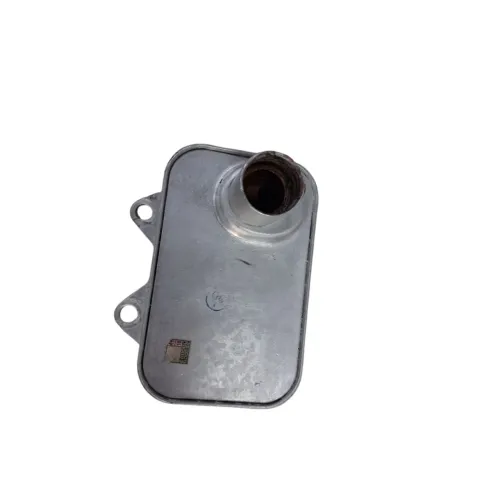 Resfriador Óleo Volkswagen Passat 2006 A 2010 06j117021d