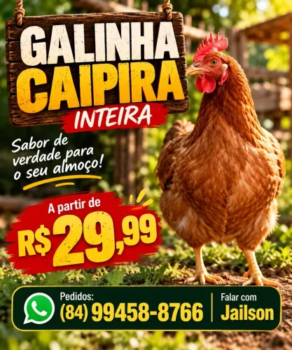 Galinha caipira Viva