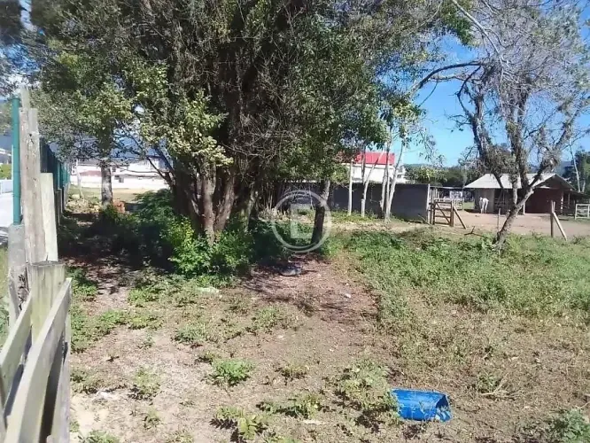Terreno 3149m² - Pachecos
