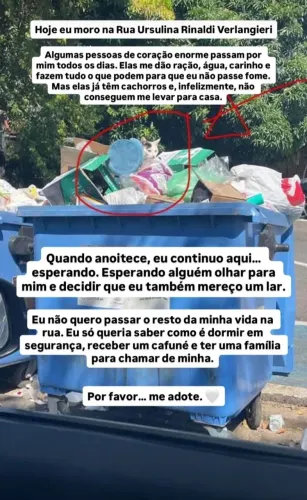 Gatinha precisa mto de um lar