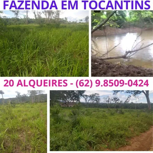 Fazenda Sitio Roça Chacara Alqueire Venda Tocantins Cidade Porto Nacional Palmas Local