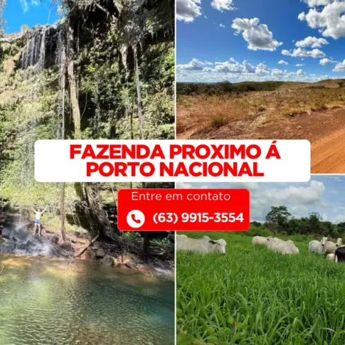 Fazendas a Venda Sítio Terra Regiao Cidade Estado Tocantins Goias Alqueires Hectares Pasto