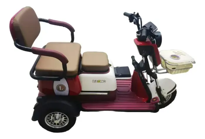 TRICICLO ELÉTRICO 800W 60V 22AH 3 LUGARES
