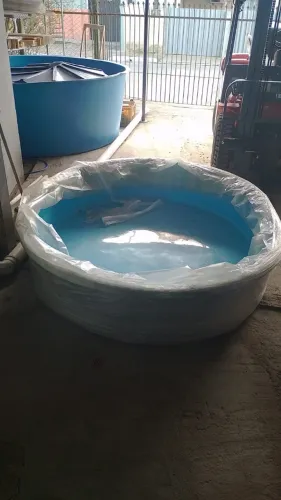 Piscina Oval em fibra 1000L
