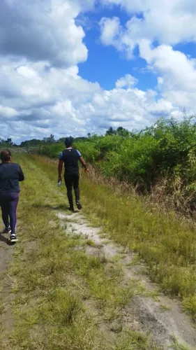 Sítio a poucos metros da BR 319, sentido Humaitá, km 35, 100 c 200, com Igarapé
