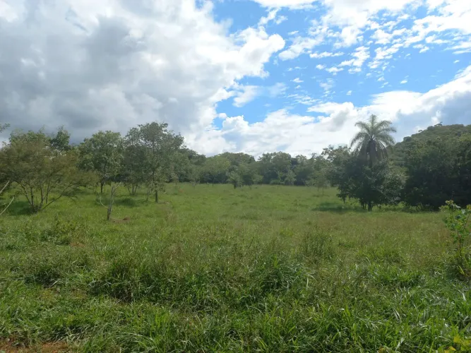 Terreno 40 hectares com córrego 