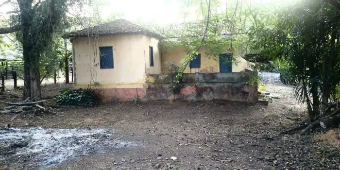 Sítio à venda, ZONA RURAL - Ponte Nova/MG
