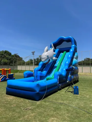 Brinquedos infláveis de alto padrão