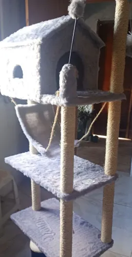 Casa de gato ,nova
