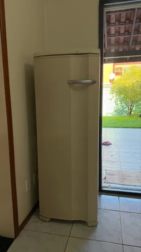 Freezer Vertical Electrolux 173 Litros Fe22 reformado
