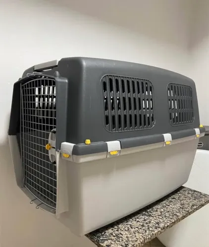 Caixa transportadora para pet