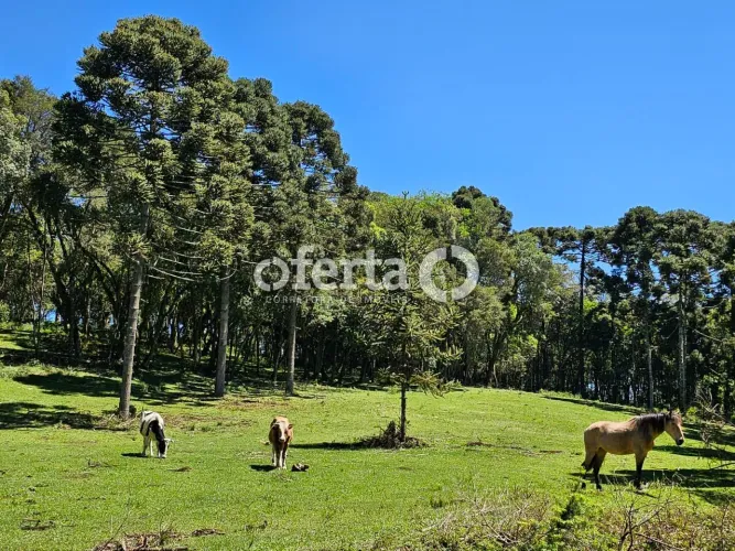 Chácara em Araucária