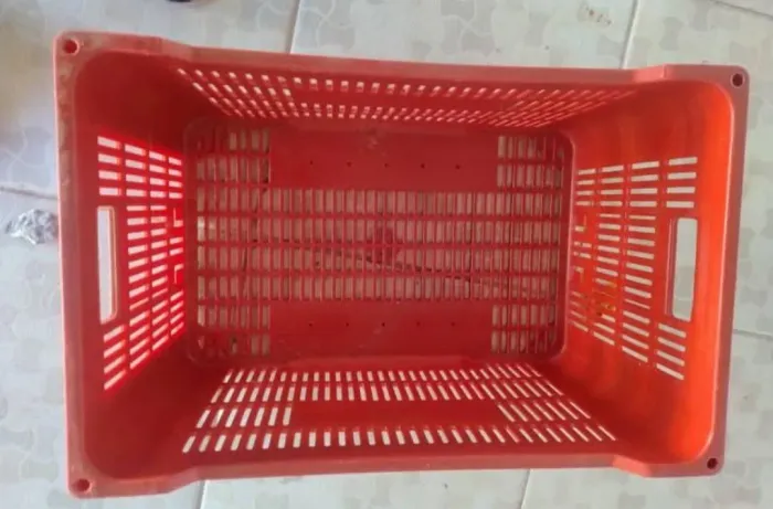 Caixa organizadora