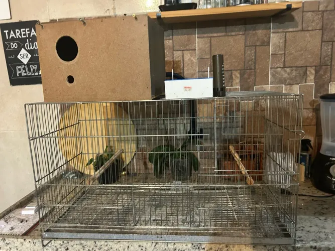 Gaiola para Calopsita