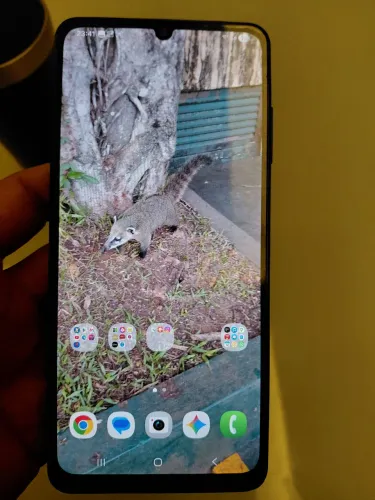 Samsung A06