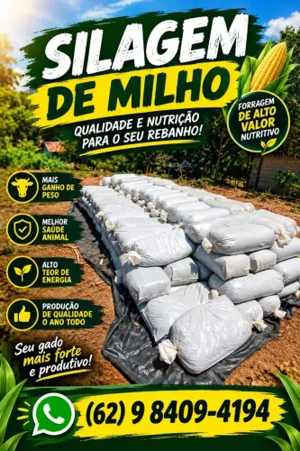 vendo silagem de milho ensacada em Bela vista de Goiás, Goiânia e Região