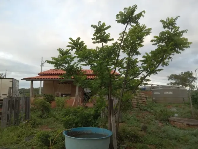 Vendo Sítio Próximo de Montes Claros MG ?8 hectares, tudo documentado Vídeos e fotos f