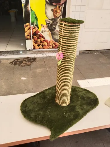 Arranhadores para gato