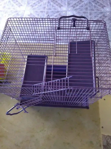Gaiola para hamster com acessórios