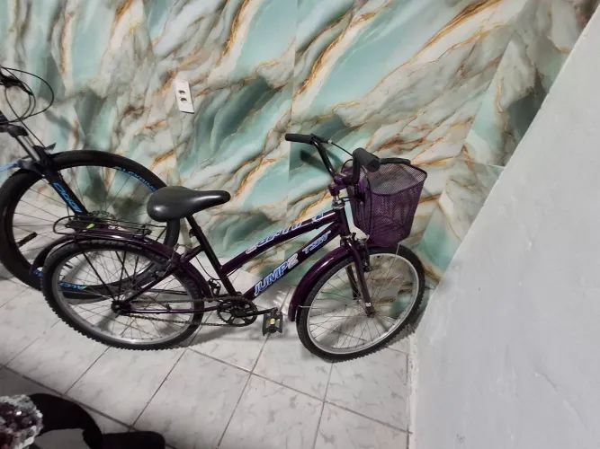 Bicicleta aro 24