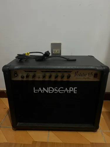 Amplificador de guitarra Landscape Predator 65